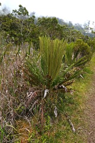 P1022274