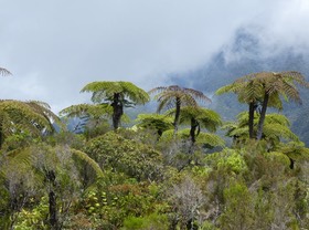 P1030075