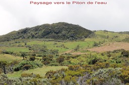 Paysage vers le Piton de l'eau-2