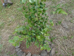 P1020072