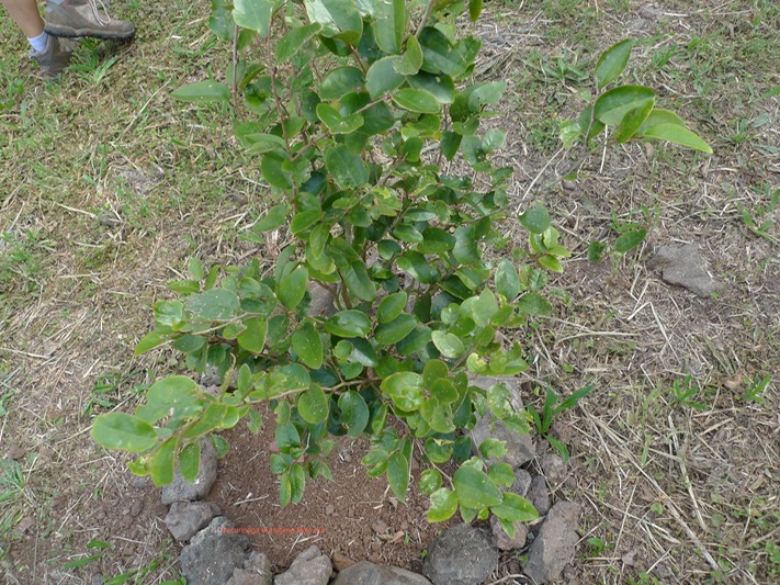 P1020072