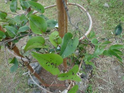 P1020073
