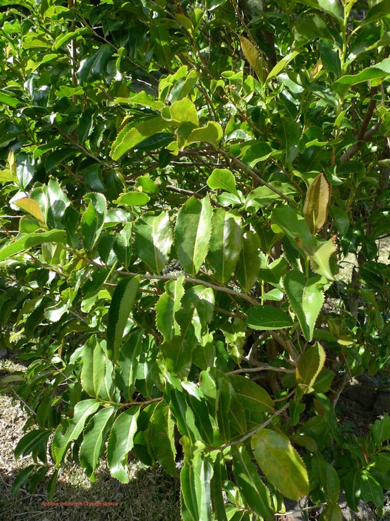 P1020075