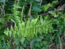 P1020078