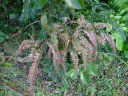 P1020079