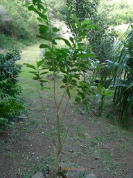 P1020080