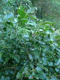 P1020081