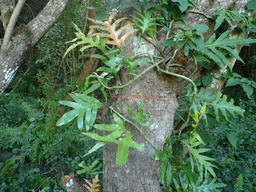 P1020083