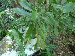 P1020084
