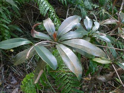 P1020088