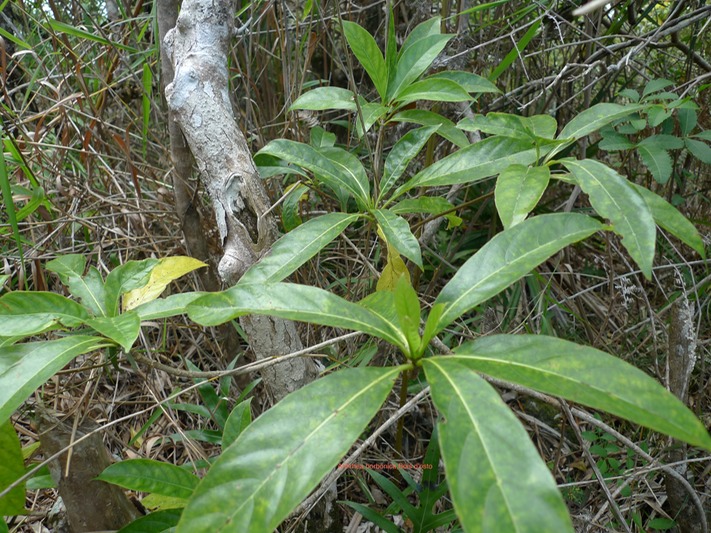 P1020092