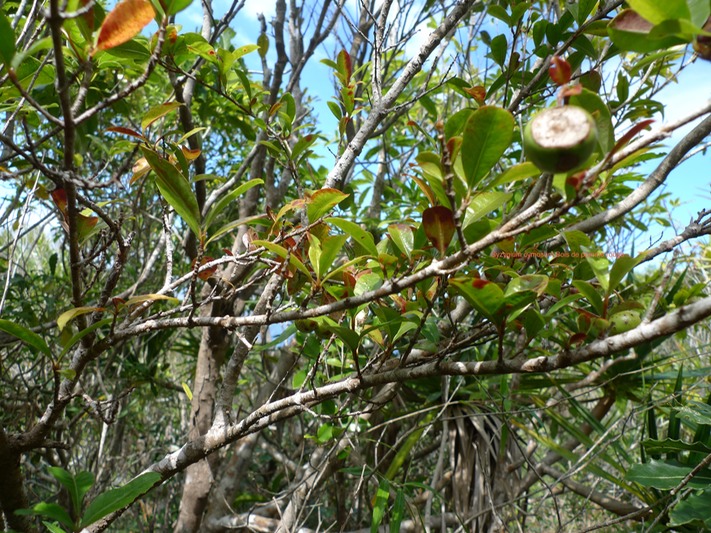 P1020095