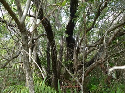 P1020096