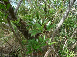P1020102