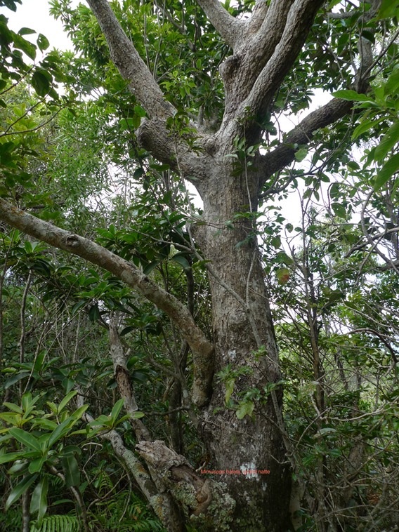 P1020104