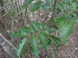 P1020107