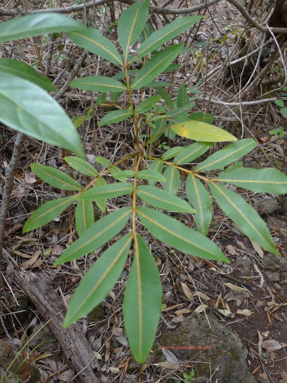 P1020108