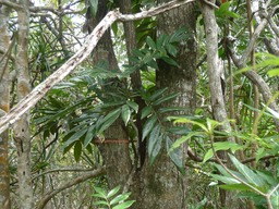 P1020111