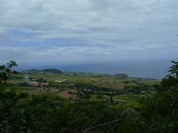 P1020113