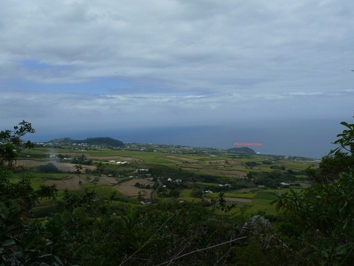 P1020113