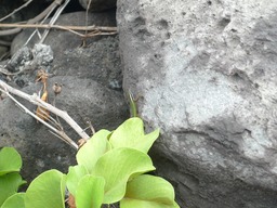 P1020121