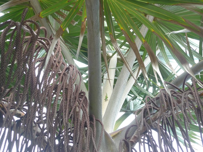 P1020123