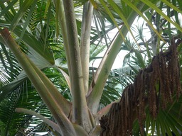 P1020126