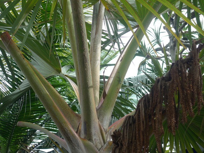 P1020126