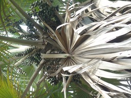 P1020127
