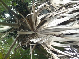 P1020128