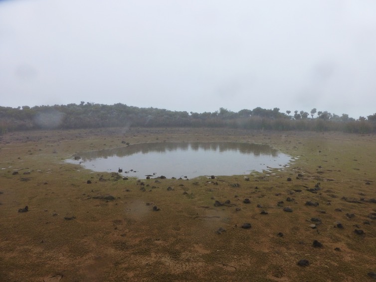 Piton de l'eau