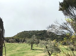 Piton de l'eau IMG_1348