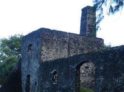 Usine du Piton Babet (Saladin) P1020410