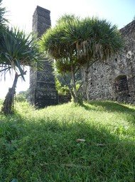 Usine du Piton Babet (Saladin) P1020488