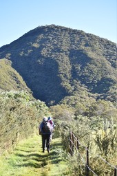 Vers le Piton Bleu