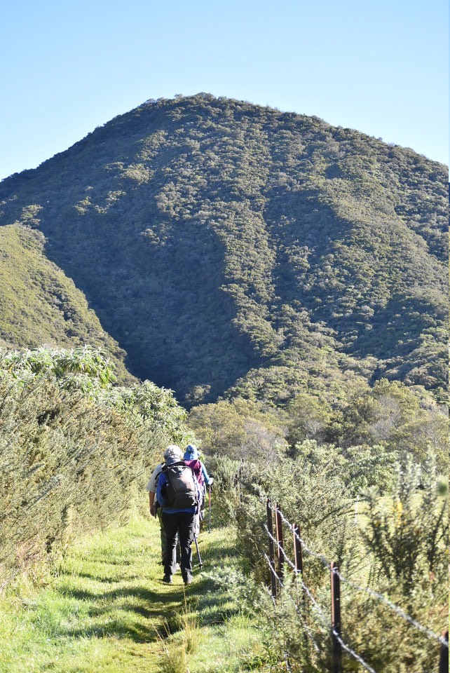 Vers le Piton Bleu