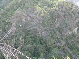 Marques du passage des cyclones de début d'année