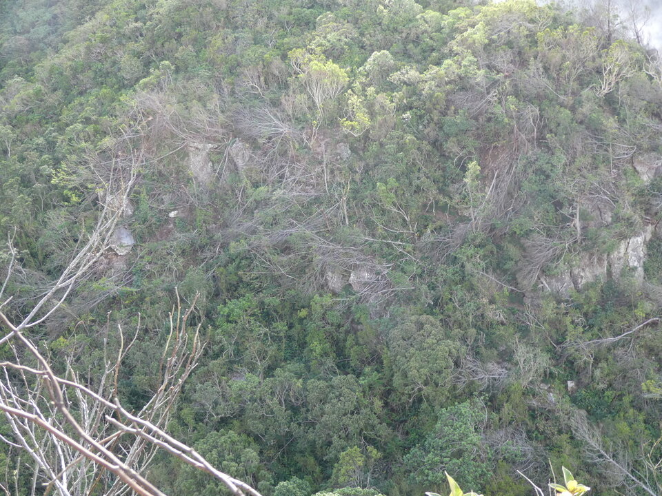 Marques du passage des cyclones de début d'année