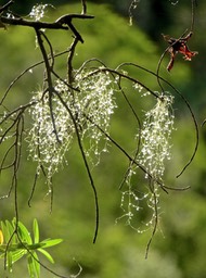 P1610036