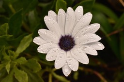 MB2_1659