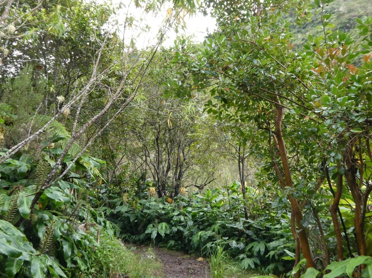 P1010564