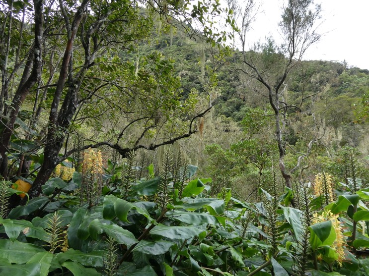 P1010566