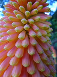 DSC01732