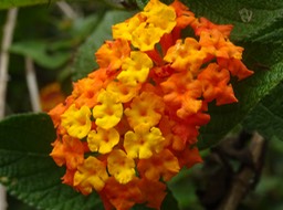 DSC01746