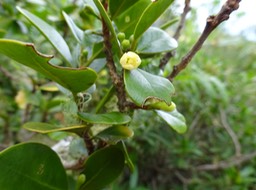 DSC01758