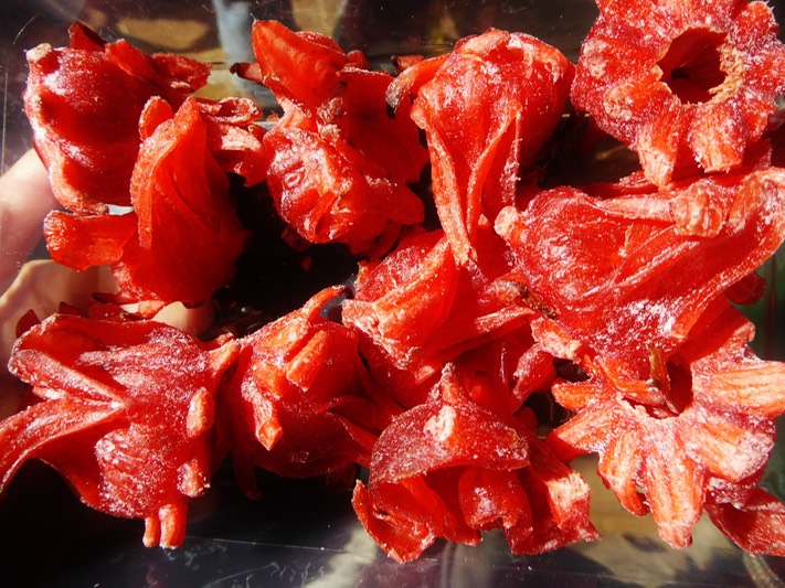 Hibiscus sabdariffa