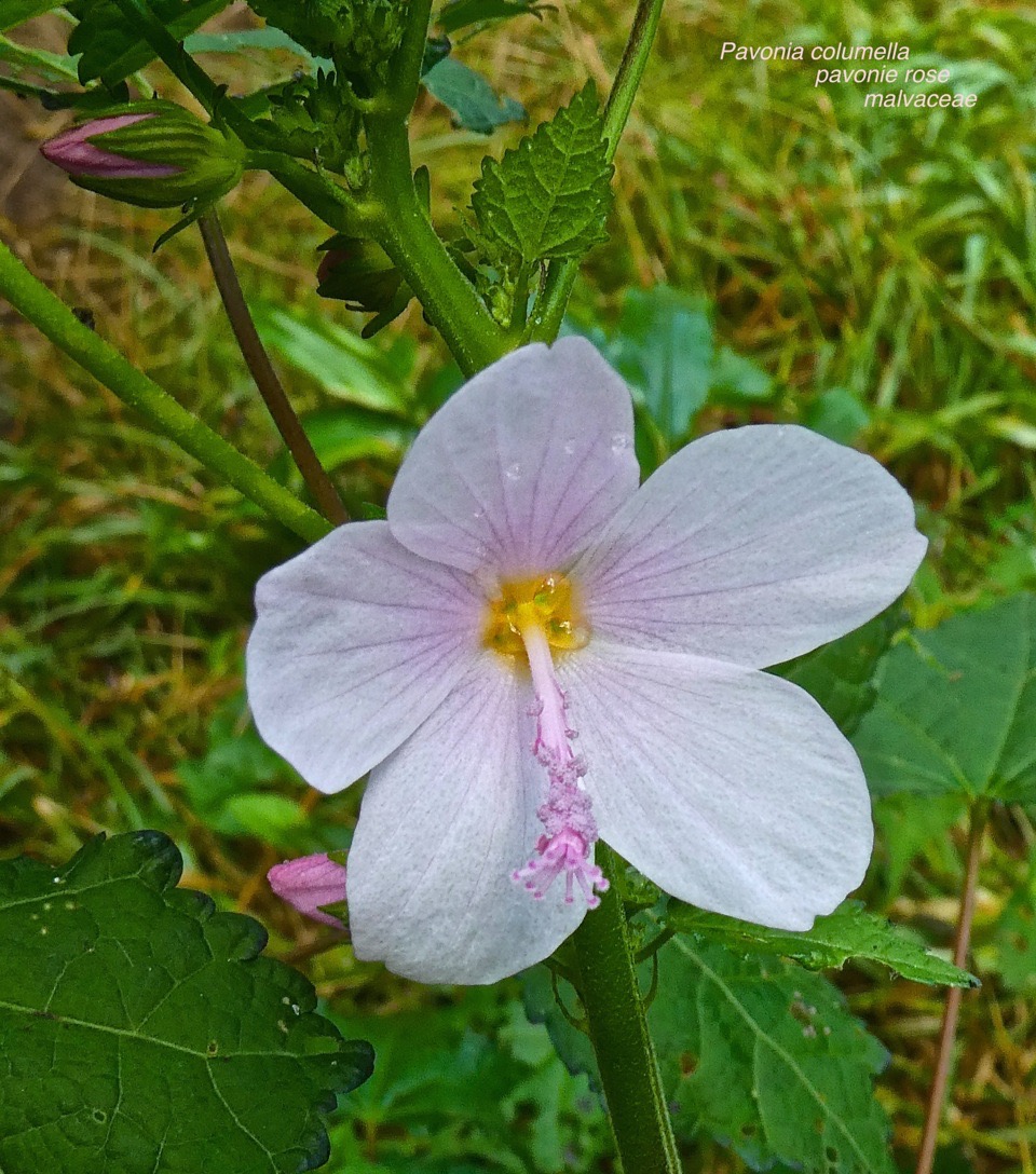 P1380855
