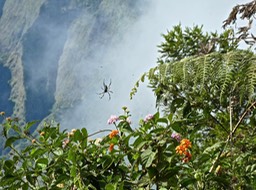P1380974