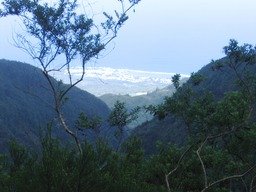 Vue sur l'�tang Sal� IMG_0800