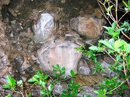 Alt�ration en boule du basalte IMG_0803